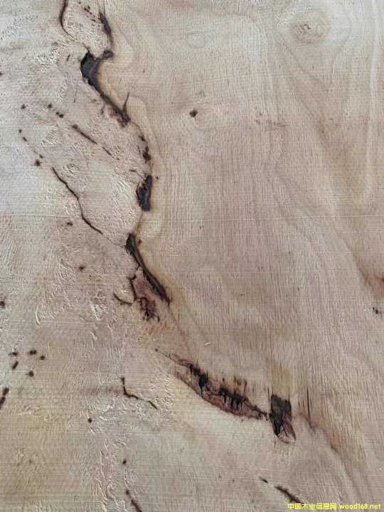  �M(j��n)�����zľ���Іΰ�