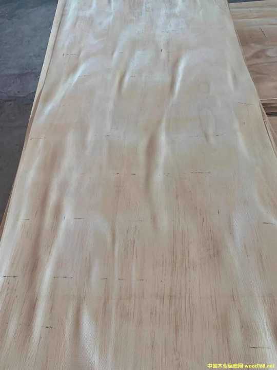  �M(j��n)�����zľ���Іΰ�