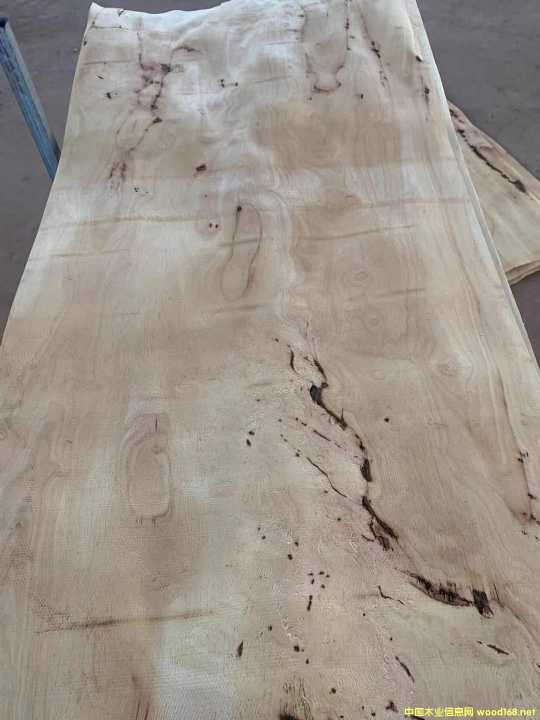  �M(j��n)�����zľ���Іΰ�