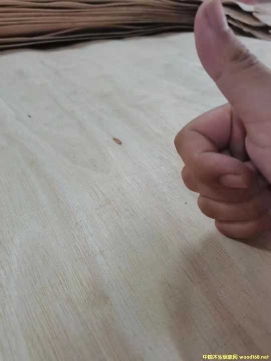  �M�����zľ���Іΰ�