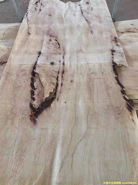  �M(j��n)�����zľ���Іΰ�