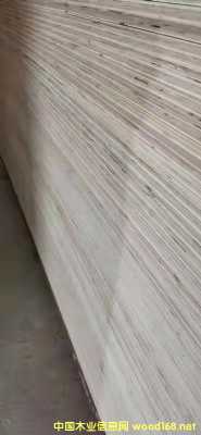  ��Ԕ����B