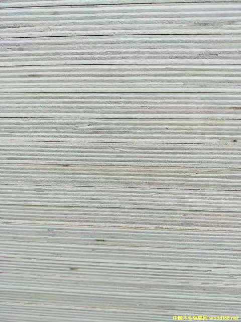  ��Ԕ����B