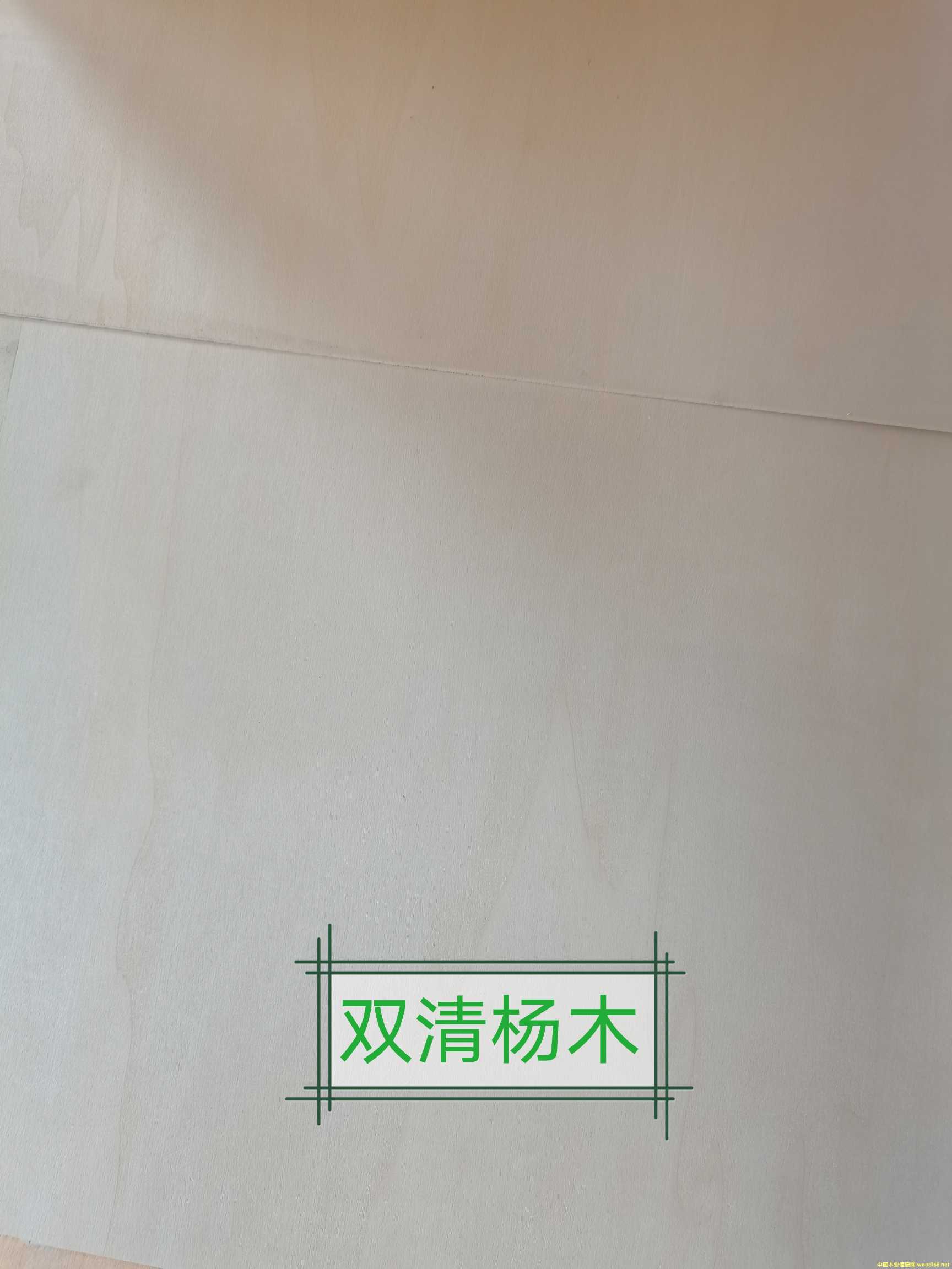 ���ӹ�ˇ��