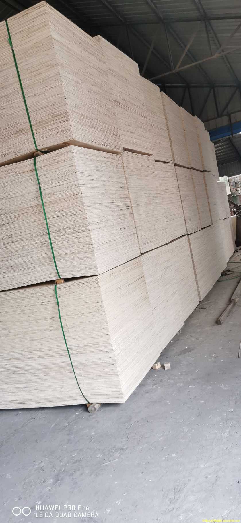 的詳細(xì)介紹