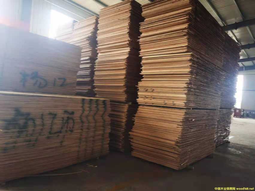 ������ȫ��ߙn�Ҿ߰����B(t��i)���Ԕ����B