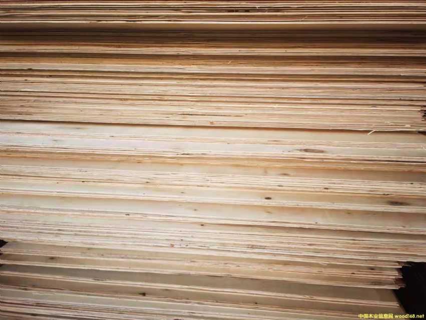 ������ȫ��ߙn�Ҿ߰����B(t��i)���Ԕ����B