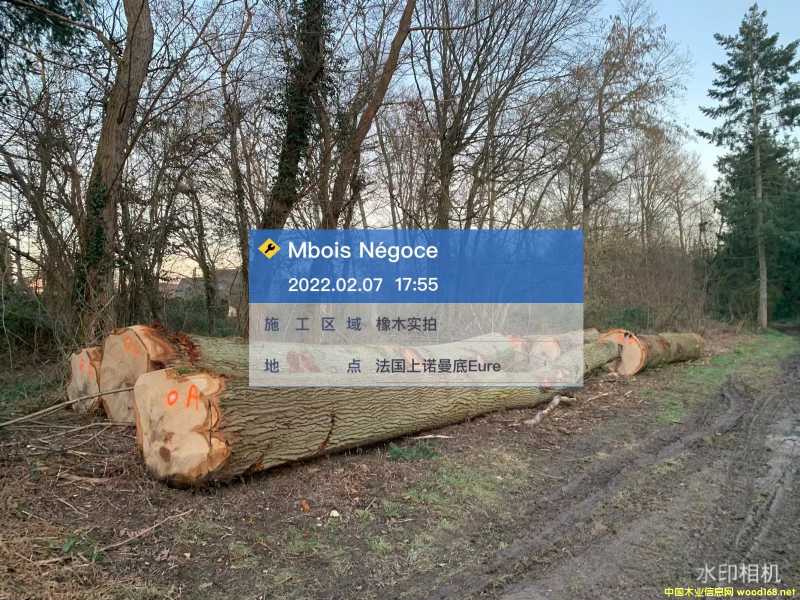 �c(di��n)���鿴�W�ް���Ŵ�DƬ