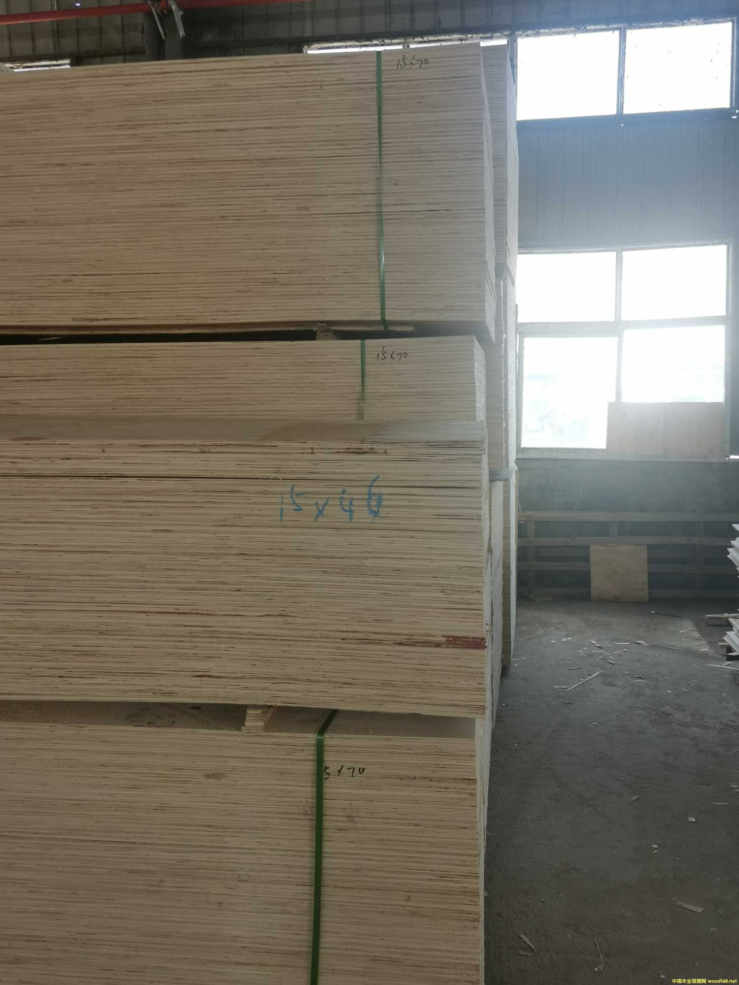 CARBP2��E1��E2 ��ľʮ����� ɳ�l(f��)�� �ɶ���