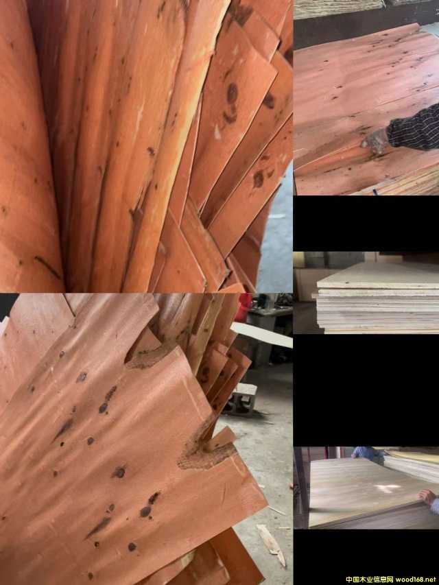  ��Ԕ����B