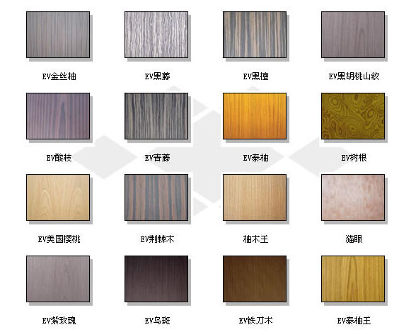 EV����ľ��Ԕ��(x��)��B