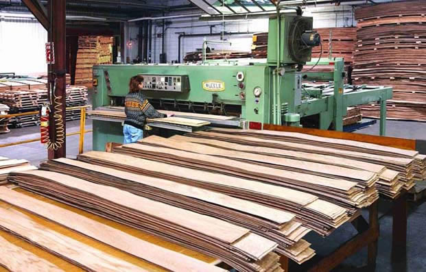 �������D��ľƤ 2��Ԕ����B