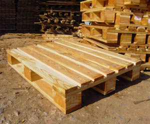 ����ľ�бP(p��n)��Ԕ��(x��)��B