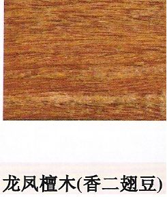 ����ᶹ��Ԕ����B